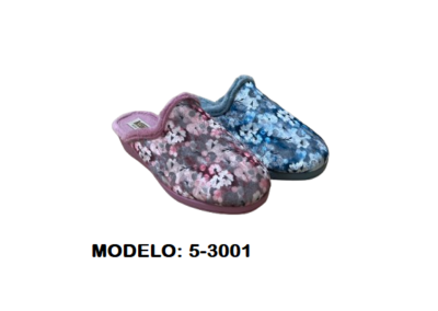 5-3001