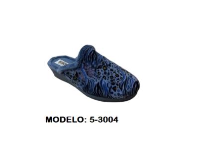 5-3004
