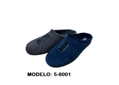 5-8001